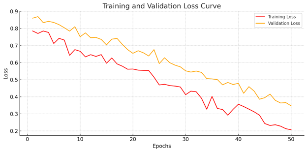 Training and validation loss curve from the paper.