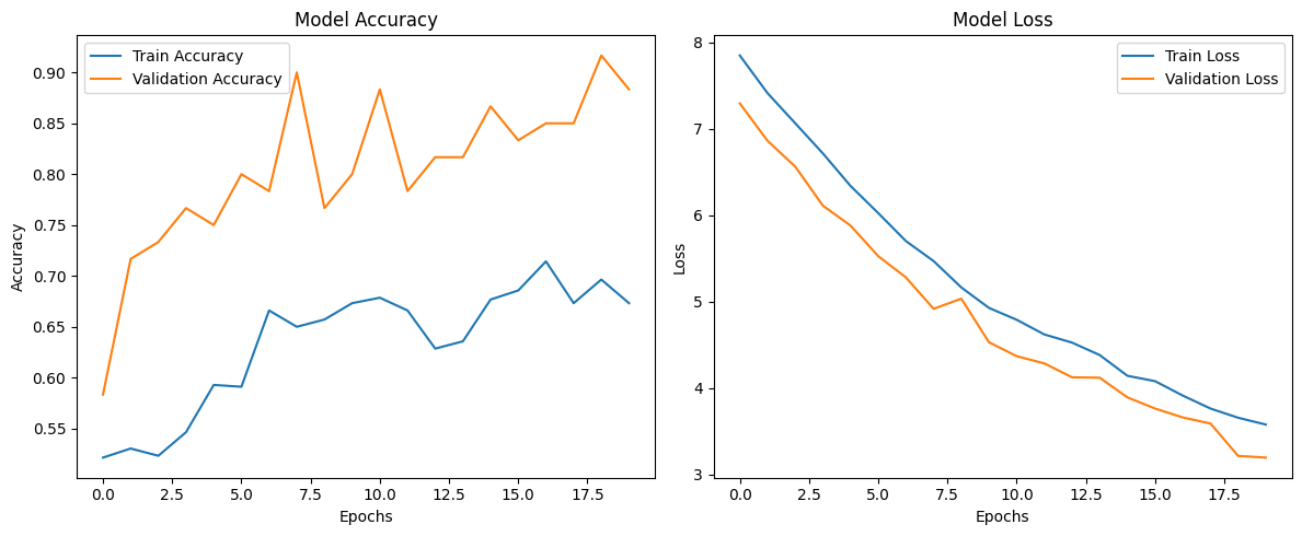 Training and validation curves