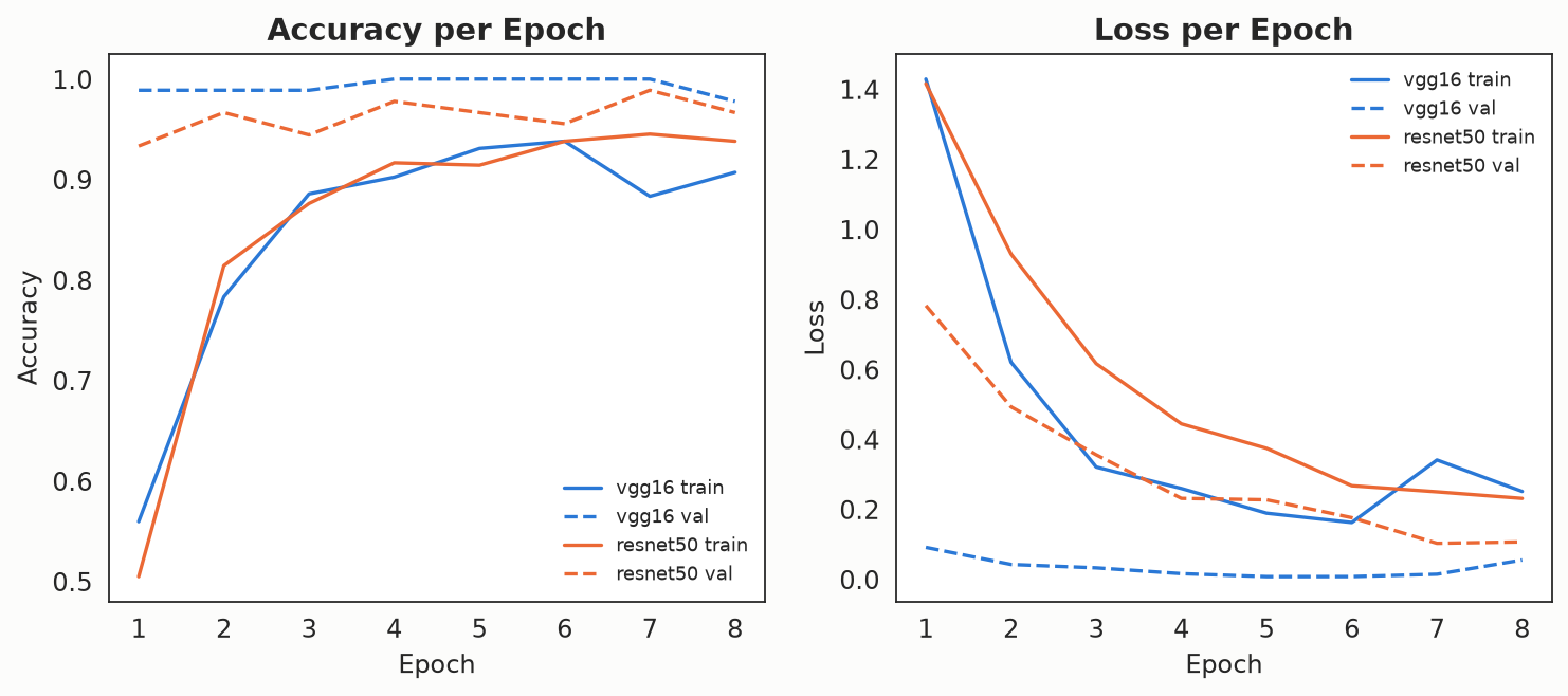 Training and validation curves